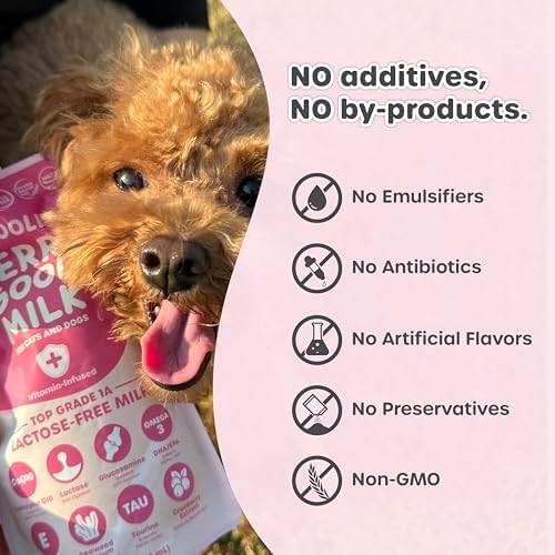 Choolip Berry Good Milk for Cats & Dogs – Lactose-Free Pet Milk Pouches – Vet-Formulated Hydrating Drink with Cranberry, CoQ10, Glucosamine & Omega-3 (100mL x 8 Pouches) - Image 7