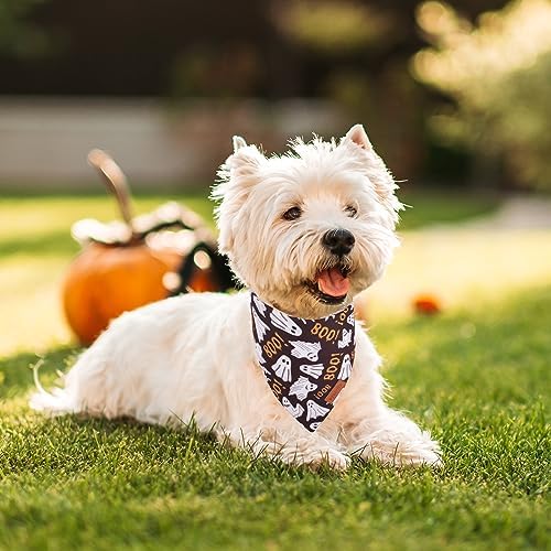 PTDECOR Halloween Dog Bandana, 2PCS Ghost Pumpkin Dog Scarf, Small - Image 3