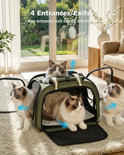 Pecute Cat Carrier,Double Bubble Pet Carrier for Cat Small Dogs,Green,L - Image 2