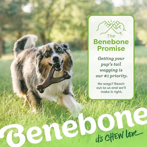Benebone Wishbone Dog Chew Toy for Aggressive Chewers, Real Peanut, Giant - Image 6