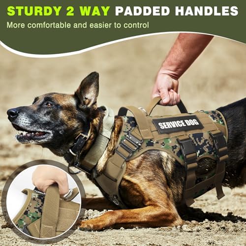 WINSEE Service Dog Vest Harness for Large Dog, Tactical Working MOLLE Vest with 10 Pet Patches, No Pull Heavy Duty Harness for Training Walking - Image 6