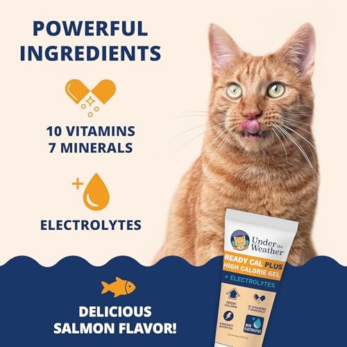 Under the Weather Pet Electrolytes Ready Cal Plus Gel for Cats | Vet-Formulated High-Calorie Supplement for Cats & Kittens | Promotes Weight Gain & Boosts Energy for Sick Felines | 3.5 Oz Tube Pack - Image 3