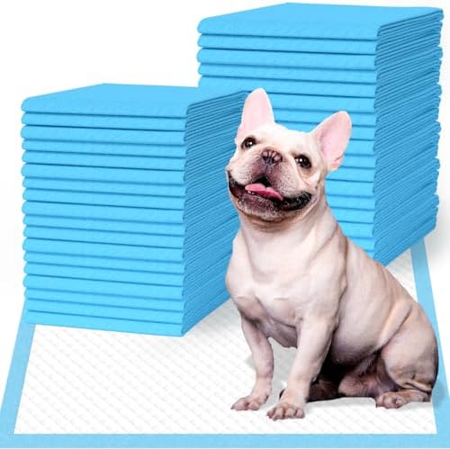 IMMCUTE Puppy Pee Pads 22"x23", 50 Count, Super Absorbent Leak-Proof Disposable Dog Training Pads for Puppies, Adult Dogs Cats & Other Pets Potty Piddle Pads for Crate, Kennel & Indoor/Outdoor Use by IMMCUTE