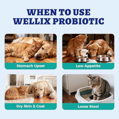 Wellix 120ml Liquid Probiotic for Cats & Dogs, Aiding Digestive Health - Image 5