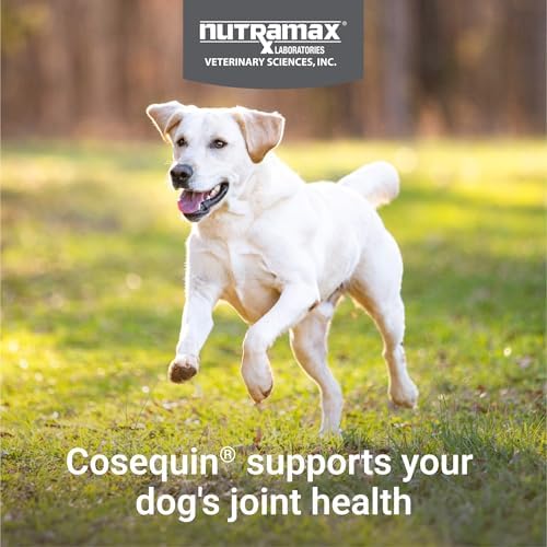 Nutramax Cosequin Joint Supplement, Glucosamine for Dogs, Chew Tabs, 60ct - Image 5