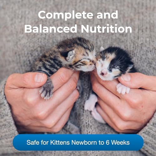 PetAg KMR Kitten Milk Replacer Liquid - 11 oz, Pack of 4 - Ready-to-Feed Kitten Formula with Prebiotics, Probiotics & Vitamins for Kittens Newborn to Six Weeks Old - Easy to Digest - Image 3