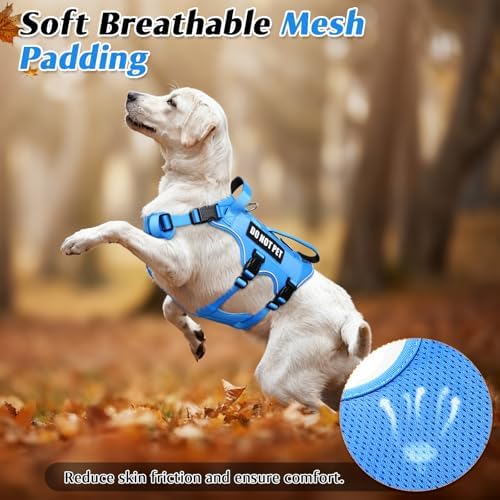 WINSEE Escape Proof Dog Harness with Double Handle+4 Removable Patches - Image 6