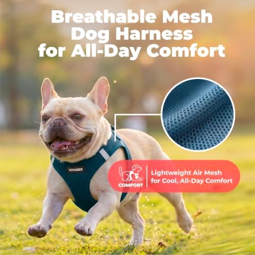 Voyager Step-in Air Dog Vest Harness - Blue, Small - Image 5