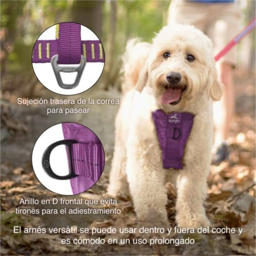 Kurgo Enhanced Strength Tru-Fit Smart Harness, Deep Violet, Small - Image 4