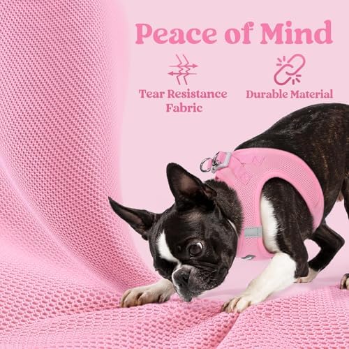 rabbitgoo Step-in Small Dog Harness, Puppy Vest for Small Sized Pet - Image 4