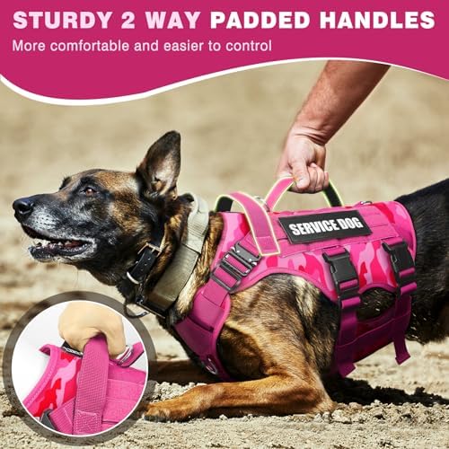 WINSEE Service Dog Vest Harness for Large Dog, Tactical Working MOLLE Vest with 10 Pet Patches, No Pull Heavy Duty Harness for Training Walking - Image 4
