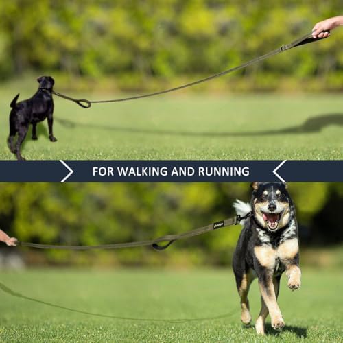Plutus Pet Double Handle Dog Leash, 4 FT Long, for Medium Large Dogs - Image 7