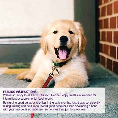 Wellness Soft Puppy Bites Healthy Grain-Free Treats for Training, Dog Treats with Real Meat and DHA, No Artificial Flavors (Lamb & Salmon, 8-Ounce Bag) (Pack of 2) - Image 6