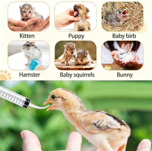 9 pcs Parrot Feeding Tools,Pet Syringe Feeding Tube Parrot Feeder - Image 3
