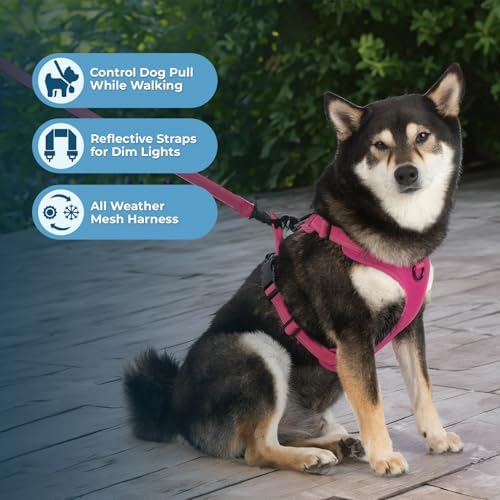 Voyager Dog Harness Dual Leash Attachment No-Pull Control Adjustable Soft but Strong Pet Harness for Medium and Large Dogs with 3M Reflective Technology, Leash Set Fuchsia Nylon, L (Chest: 25-30") - Image 2