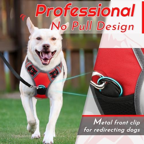 Eagloo Dog Harness for Large Dogs, No Pull Pet Vest with 2 Leash Clips - Image 2