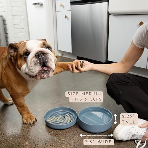 The Perfect Dish - Silicone Dog Bowl for Food & Water, 7.5"x2.25"- Blush - Image 3