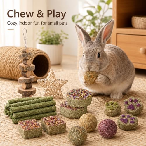 Grddaef Rabbit Toys, Guinea Pig Toys 17Pcs Natural Timothy Hay Bunny Chews and Treats for Hamster Chinchilla Gerbil - Image 4