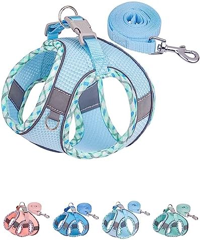 Petank Step in Dog Harness No Pull and Leash for Small Medium Dogs Cats. by PetankCareforEveryPaw