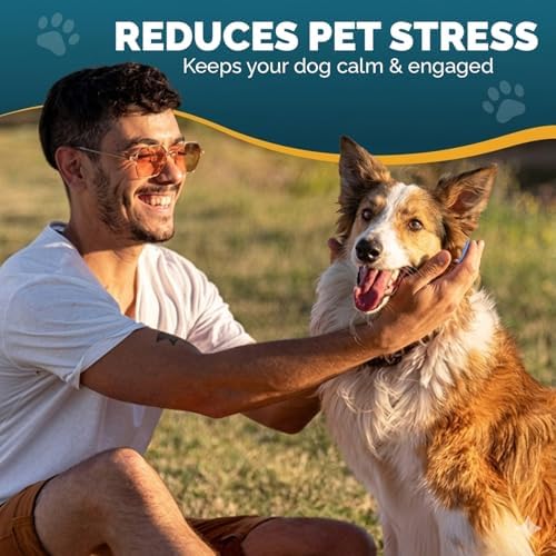 PET ARENA Snuffle Mat Dog Puzzle Toy Adjustable Interactive Feeder - Image 4