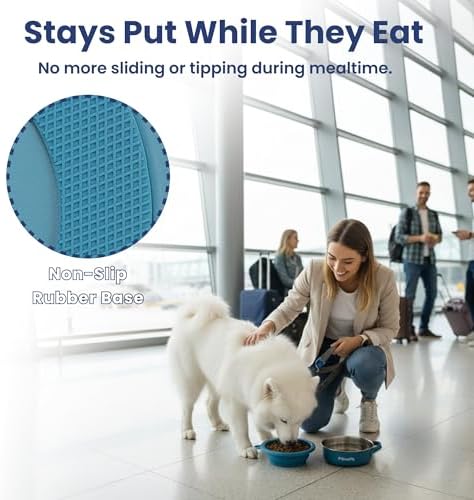 PawsPik 2-in-1 Travel Dog & Cat Bowl – Collapsible BPA-Free Silicone - Image 4