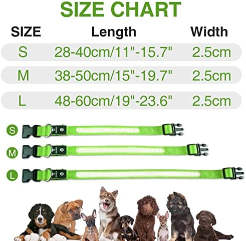 MASBRILL LED Dog Collar,Light Up Dog Collars Rechargeable Lighted Dog Collar Glowing Dog Night Walking Collar 4 Colors for Choice - Image 3