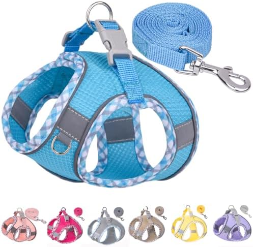 Petank Step in Dog Harness No Pull and Leash for Small Medium Dogs Cats. by PetankCareforEveryPaw