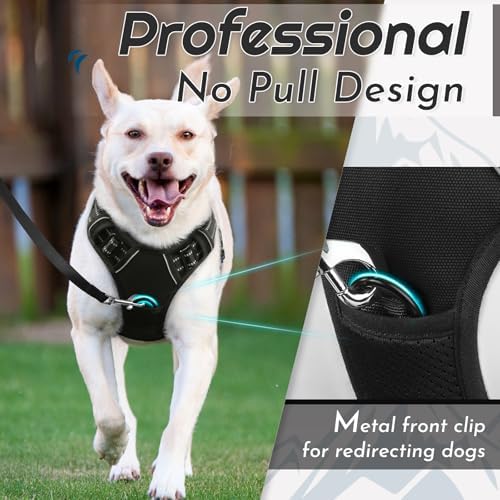 Eagloo Dog Harness for Large Dogs, No Pull Pet Vest with 2 Leash Clips - Image 2