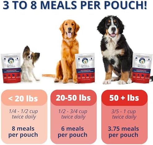Under the Weather Bland Diet for Dogs | Easy to Digest Stomach Support for Sick Dogs | Contains Electrolytes, All Natural | 2 Pack - Turkey, Oatmeal, Sweet Potato & Slippery Elm - 6oz - Image 2