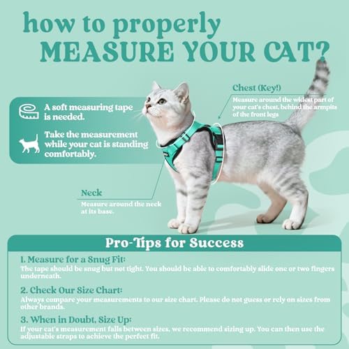 rabbitgoo Cat Harness and Leash Set, Escape Proof Vest, Emerald - Image 2