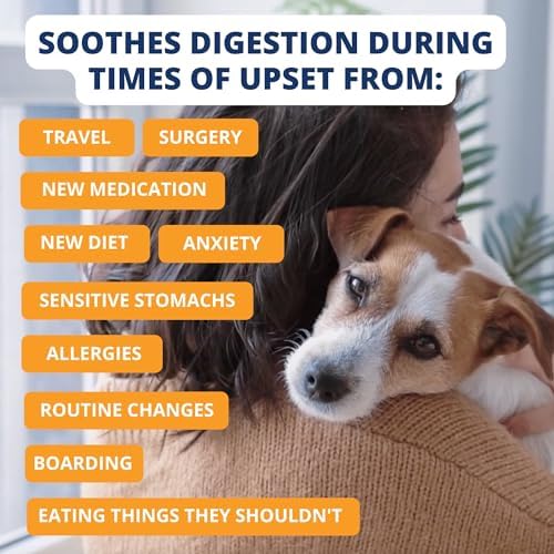Under the Weather Bland Diet for Dogs | Easy to Digest for Sick Dogs |Always Be Ready | Contains Electrolytes - All Natural Freeze Dried 100% Human Grade Meats | 1 Pack - Rice, Chicken & Pumpkin - 6oz - Image 5