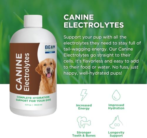 BEAM Minerals Complete Canine Electrolytes | 12 fl Oz - Image 3