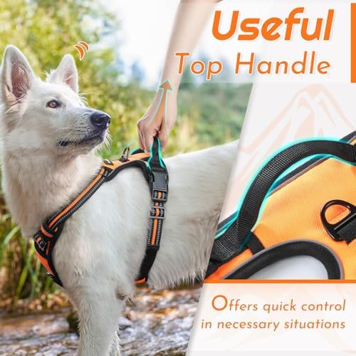 Eagloo Dog Harness for Medium Sized Dogs, No Pull Vest with 2 Leash Clips - Image 5