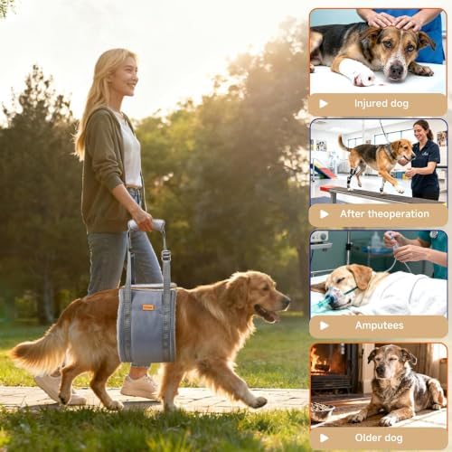 Sunsleek Dog Lift Harness for Large Dogs Adjustable Dog Sling for Back Legs - Image 6