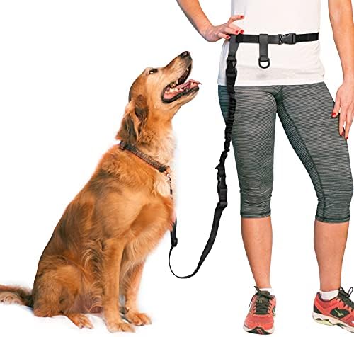 The Buddy System - Hands Free Dog Leash & Lunge Bundle - Regular Dog, Large by TheBuddySystem