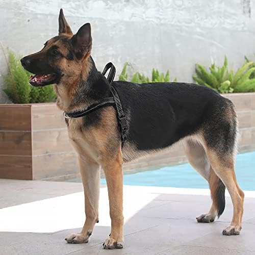 Plutus Pet No Pull Dog Harness with Front Clip, Breathable Mesh Padded - Image 5