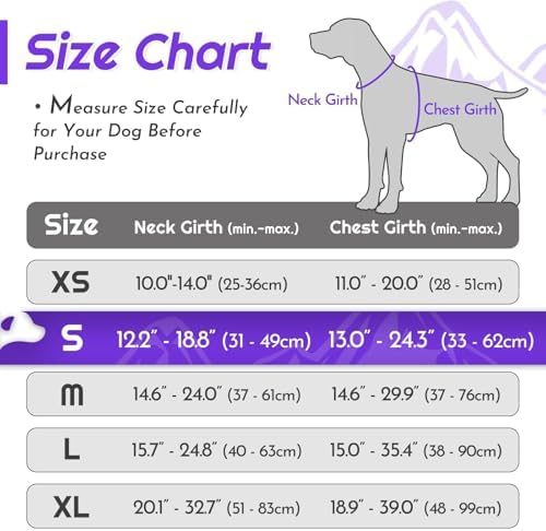 Eagloo Dog Harness for Small Dogs, No Pull Pet Vest with 2 Leash Clips - Image 2