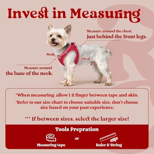 rabbitgoo Step-in Small Dog Harness, Puppy Vest for Small Sized Pet - Image 2
