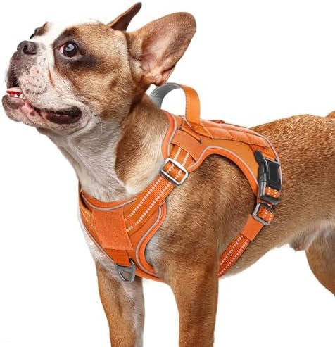 rabbitgoo Tactical Dog Harness for Small Dogs, No Pull Service Pet Vest by rabbitgoo