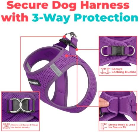 Voyager Step-in Air Dog Vest Harness - Purple, Medium - Image 2