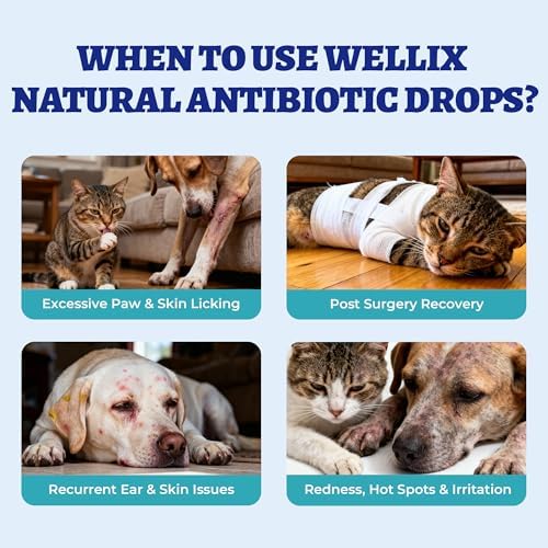 Wellix 120ml Natural Antibiotics for Cats & Dogs, Wound Care & Cold Relief - Image 4