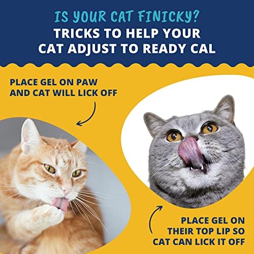 Under The Weather Pet | Ready Cal for Cats 100cc | High Calorie Supplement | Cat Weight Gainer and High Calorie Booster | 10 Vitamins, 7 Minerals & Omega Fatty Acids (for Cats 100cc) - Image 4
