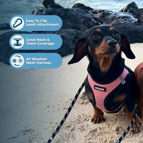 Best Pet Supplies Voyager Step-in Air All Weather Mesh Harness and Reflective Dog 5ft Leash Combo with Neoprene Handle, for Small, Medium and Large Breed Puppies - Pink Base, XXX-Small - Image 5