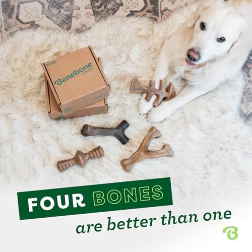 Benebone Large 4-Pack Dog Toys for Aggressive Chewers – Under 90 lbs - Image 5