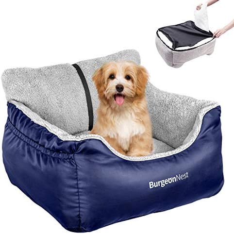 BurgeonNest Dog Car Seat for Small Dogs & Cats Under 25 lbs, Blue by Lifelongfriendsbelovedfamily