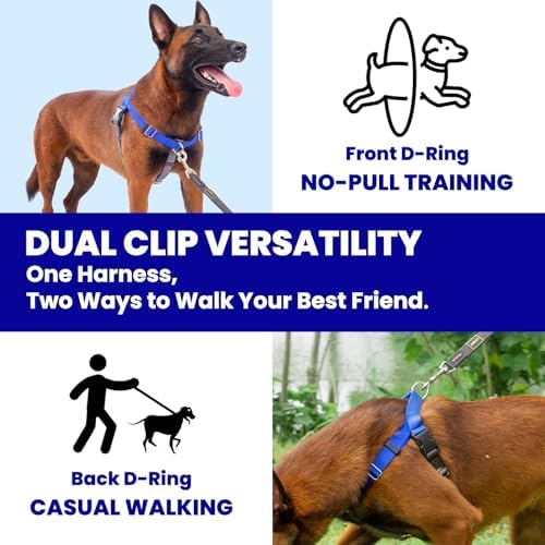 Freedom No Pull Dog Harness for Large Dogs, Blue, XL - Image 5