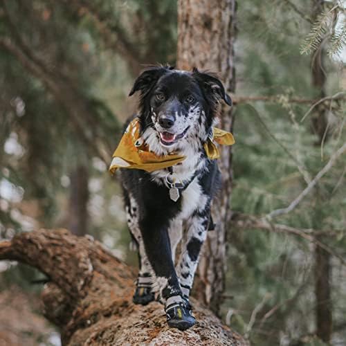 QUMY Dog Shoes for Hot Pavement, Dog Snow Boots & Paw Protectors for Winter - Image 6