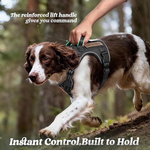 rabbitgoo Tactical Dog Harness Medium Sized, No Pull Service Pet Vest - Image 5
