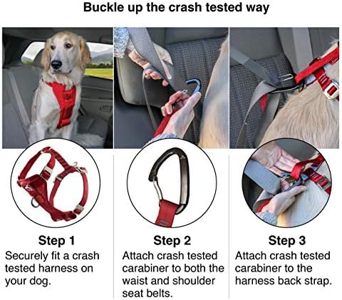 Kurgo Enhanced Strength Tru-Fit Smart Harness, Charcoal, Small - Image 4