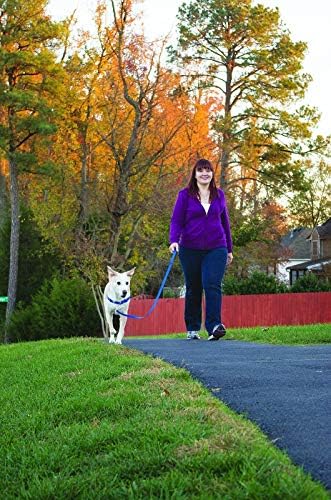 PetSafe Easy Walk Harness Small/Medium Red/Black for Dogs - Image 5